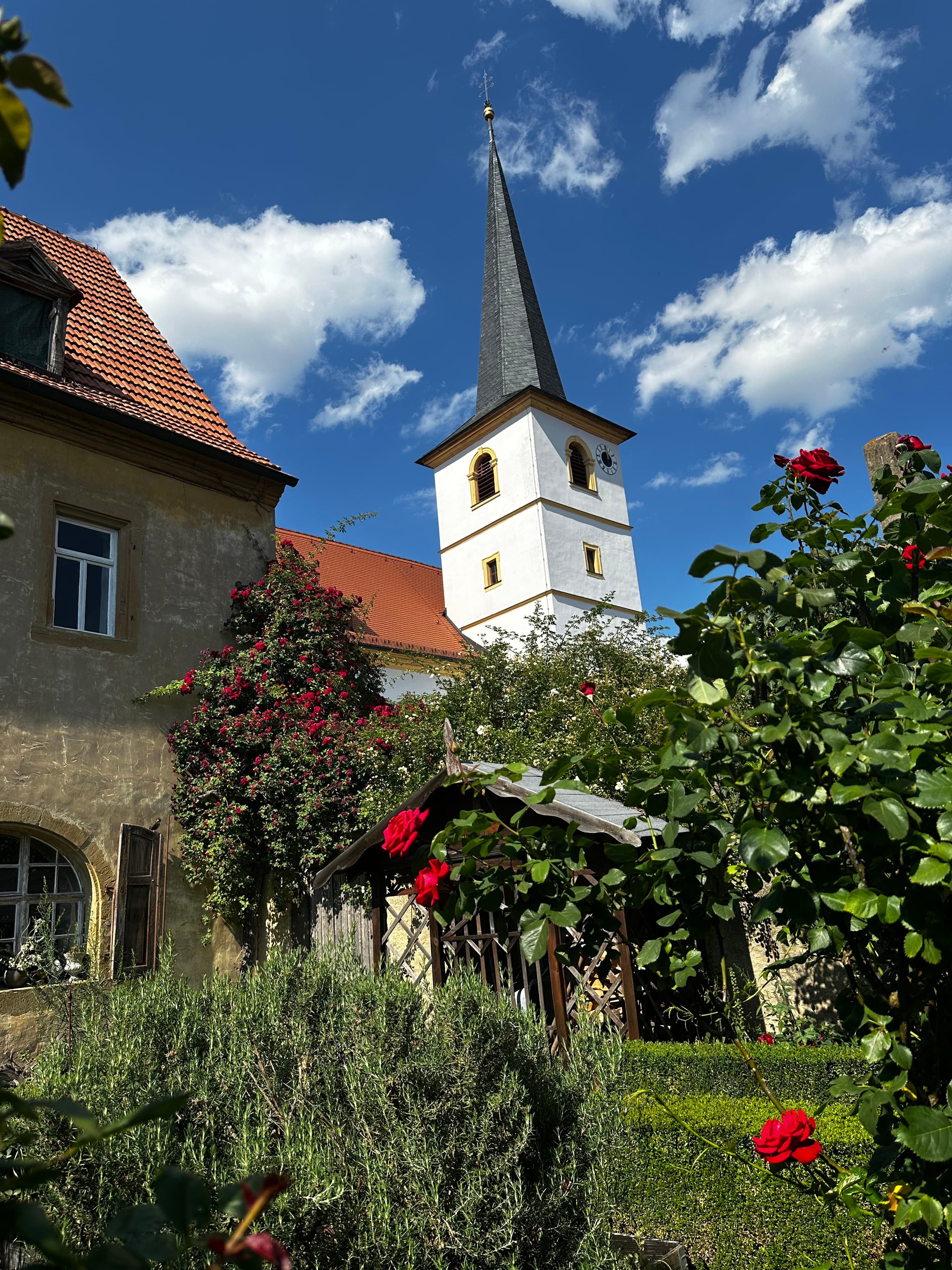 Alte Rosen